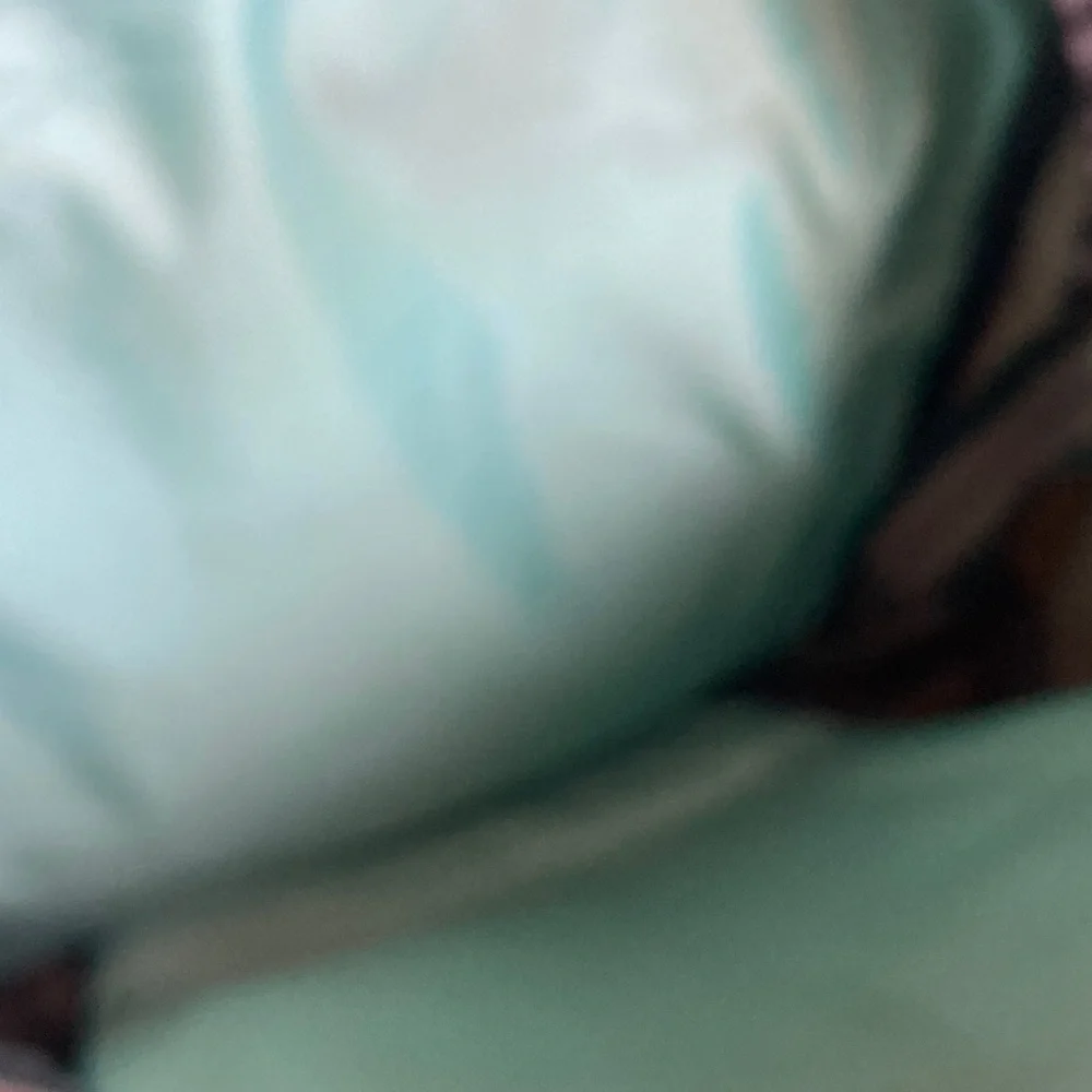 The North Face Tan and Mint Backpack